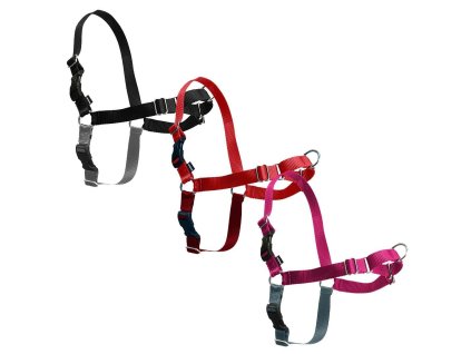 PETSAFE EASYWALK trio 0710202213530386599