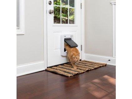 BG ZPA19 17252 2 1107202411170870407