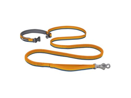 Voditko pro psy Ruffwear Roamer Bungee Dog Lead yellow snow M 231020231430135409
