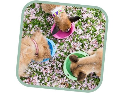 BecoBall Travel green pink blue 1206202416185782845