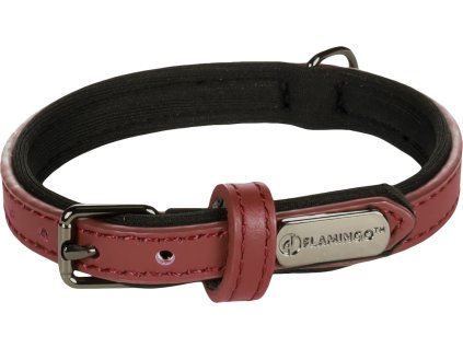 Flamingo 2806202313481182765