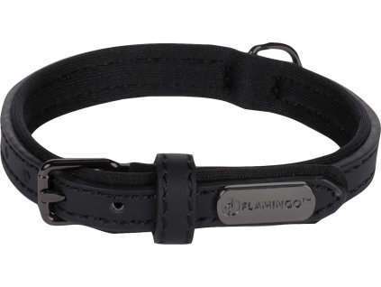 Flamingo 2906202312175198511