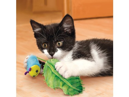 FLA 561511 image 2207202409460537109