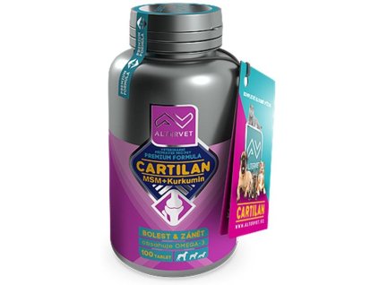 CARTILAN MSM+KURKUMIN 100tbl
