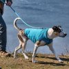 K9 Core Sweater BLU LS Water Walking 1911202414075461901
