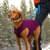 k9 core sweater VT LS brown dog snow 1 1x1 1911202414595629525