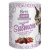 Brit Care Cat Snack Superfruits Salmon 100 g | Funkční pamlsek pro kočky