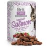 Brit Care Cat Snack Superfruits Salmon 100 g | Funkční pamlsek pro kočky