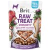 Brit Raw Immunity Freeze dried Jehně a Kuře 40g