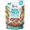 Brit Raw Skin & Coat Freeze dried Ryba a Kuře 40g