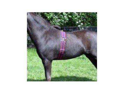 1055 elasticky obrisnik