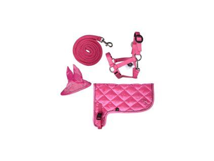 Hobby Horsing Neonset