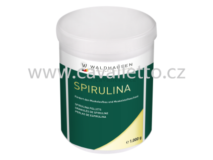 spirulina pellets 9658