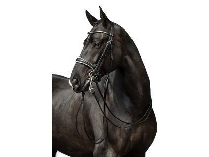 Uzda DINA (Velikosti Pony)