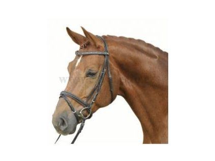 Uzdečka (Barva černá, Velikosti Cob)