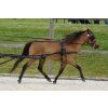 poprsni postroj pro jednosprezi minihorse 8541