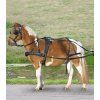 Poprsní postroj STAR (Velikosti Pony)