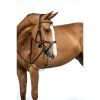 Uzdečka ANATOMIC SPORTS (Velikosti Pony)