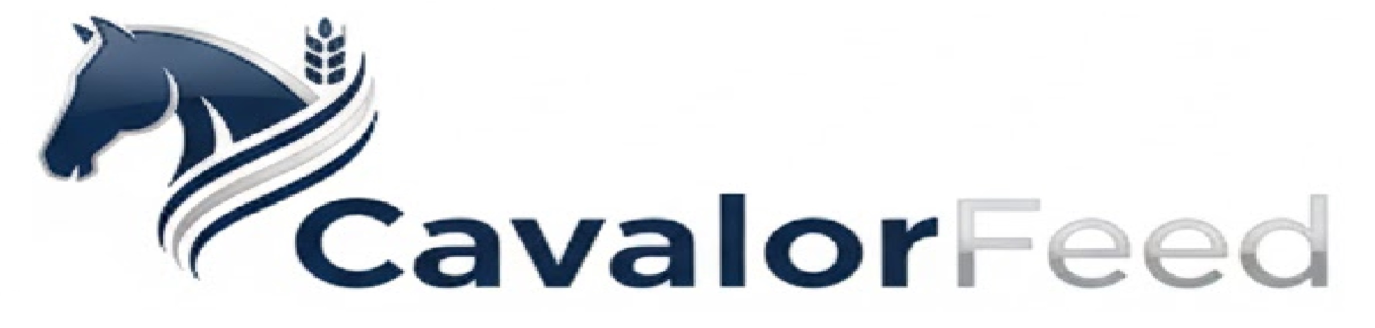 Cavalorfeed