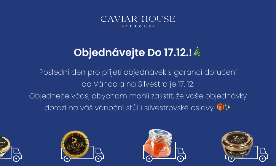 Doprava během vánoc - top