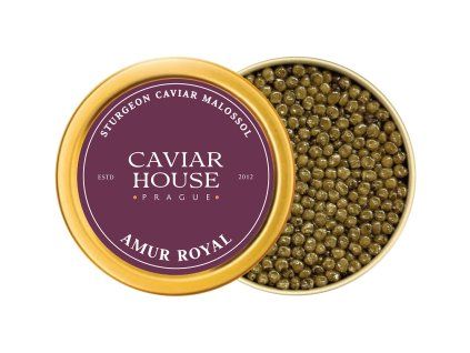 Amur Royal