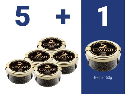 Set 5 + 1 Bester 50 (1)