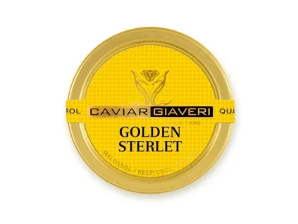 Golden Sterlet