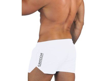 CS141 11111 back