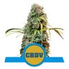 cbd seminka royal cbdv.png