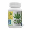 pbt CBD Gummies lemon375