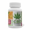 mfm CBD Gummies orange750