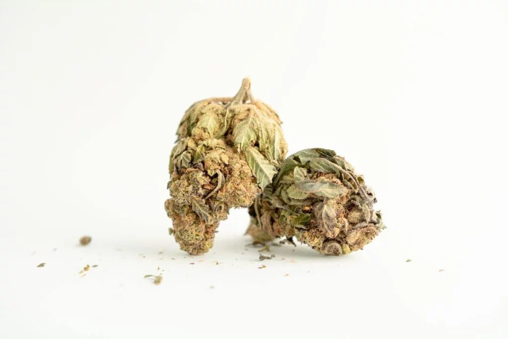 CBD ŠIŠKY – AKÉ MAJÚ ÚČINKY, AKO SA POUŽÍVAJÚ A SÚ LEGÁLNE?