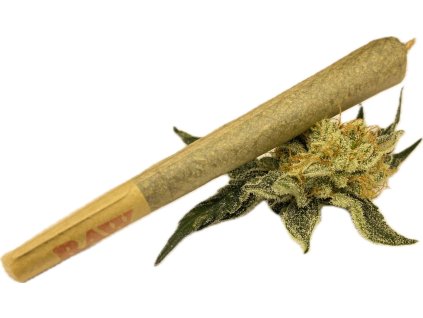 20260303 153347 480 file image 20260303 153347 464