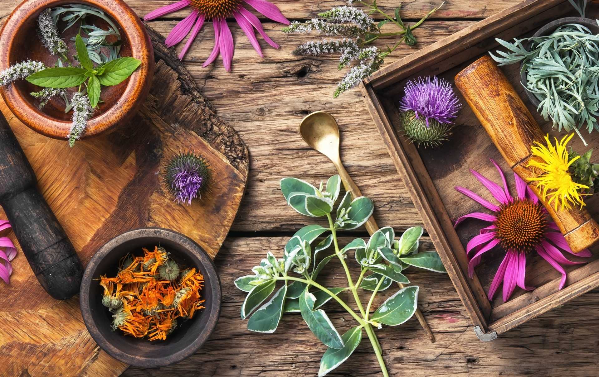 TIP: 5 bylin proti bolesti hlavy