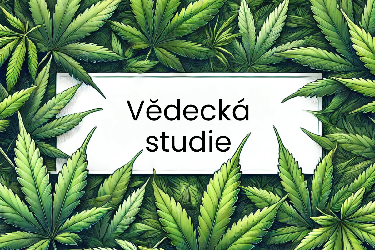 Souhrn studie: Terpeny z Cannabis sativa vyvolávají antinocicepci (úlevu od bolesti) u chronické neuropatické bolesti u myší aktivací adenosinových A2A receptorů v míše