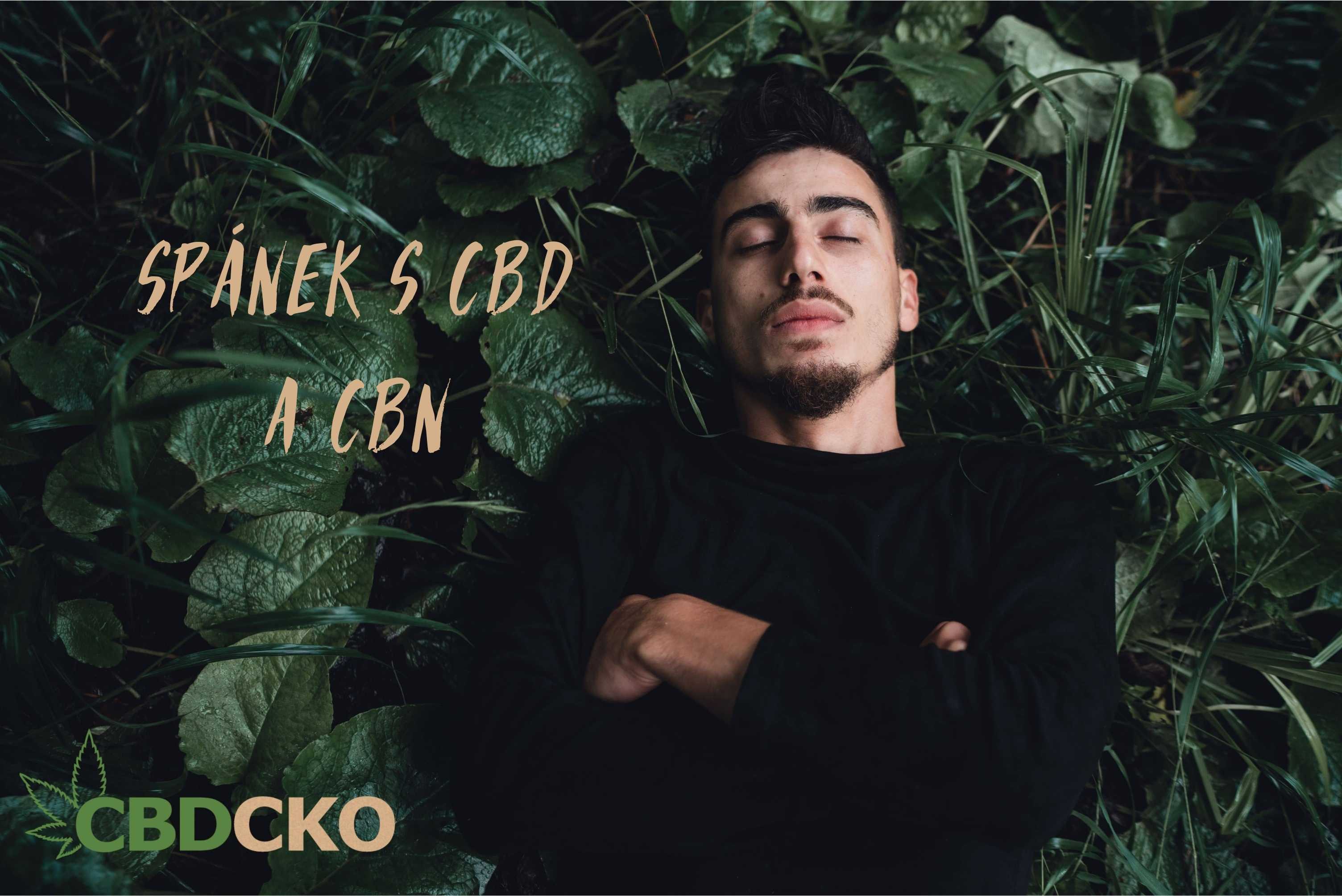 CBN a CBD kapky na spaní aneb Jak přirozeně podpořit zdravý spánek?