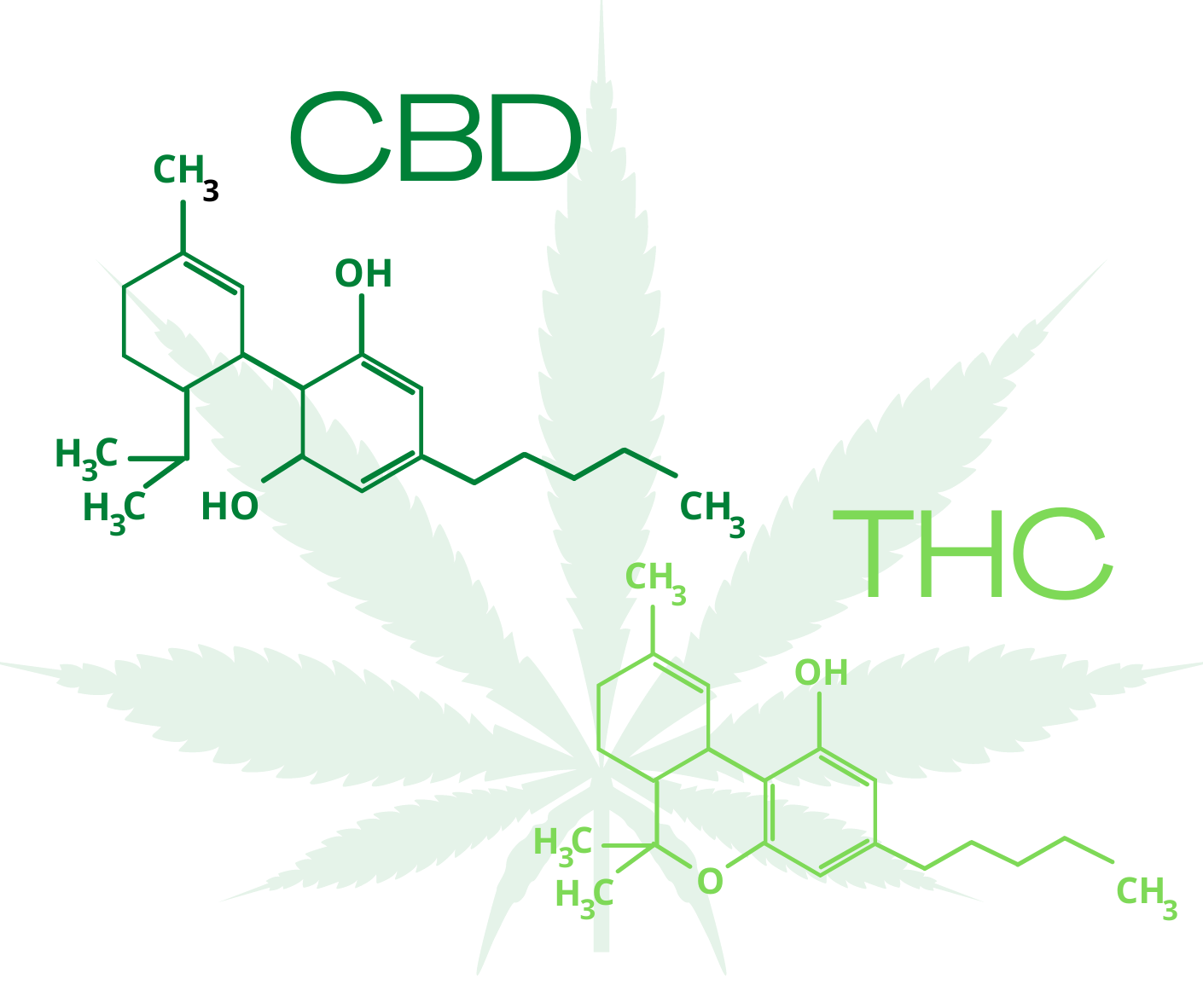 Co je CBD a jaké má účinky na náš organismus?