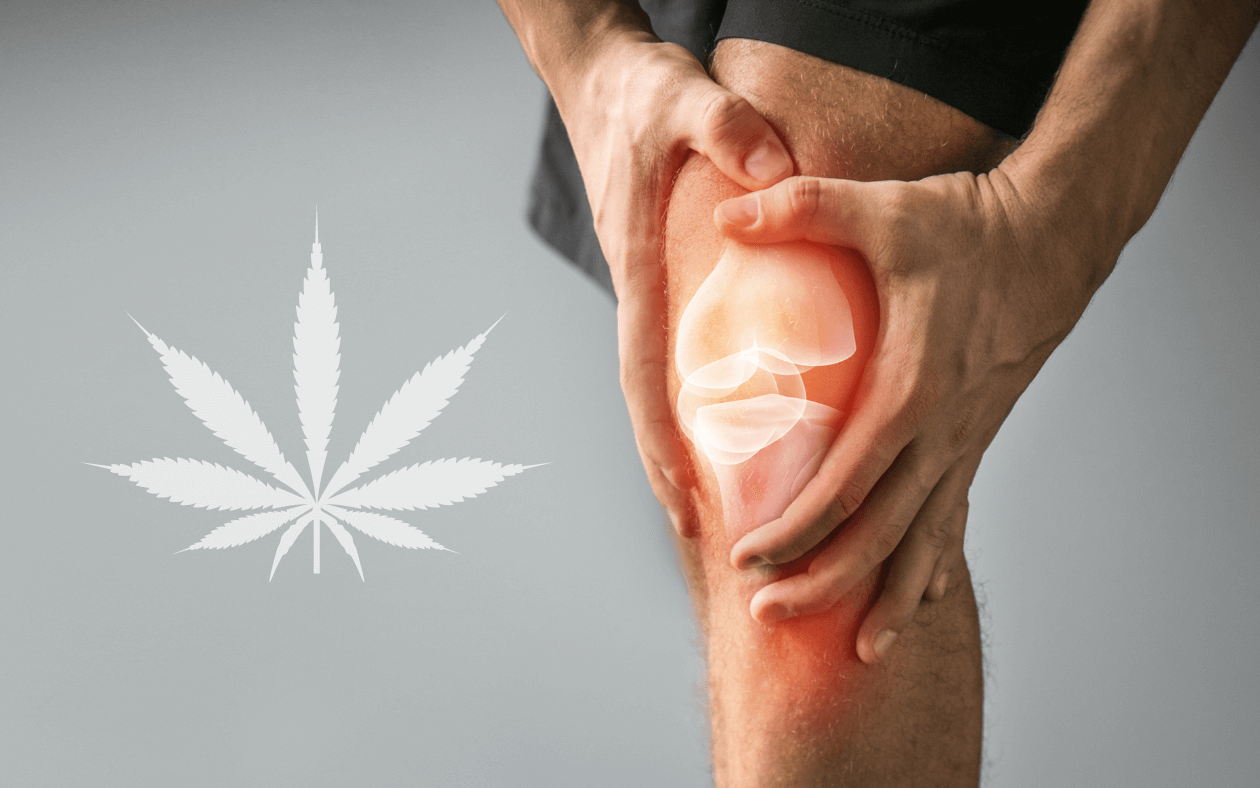Regenerace se CBD: Jak nám kanabidiol pomáhá při léčbě zranění?