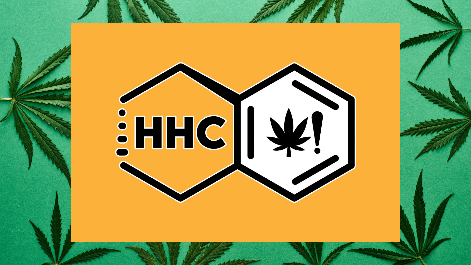 Co je HHC a jaké má účinky?