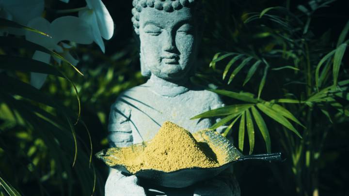 Jaké jsou zkušenosti s kratomem?