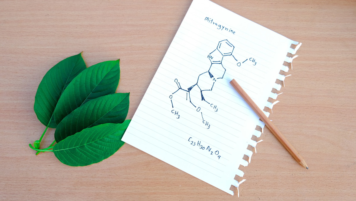 Kratom a test na drogy: Může být výsledek pozitivní?