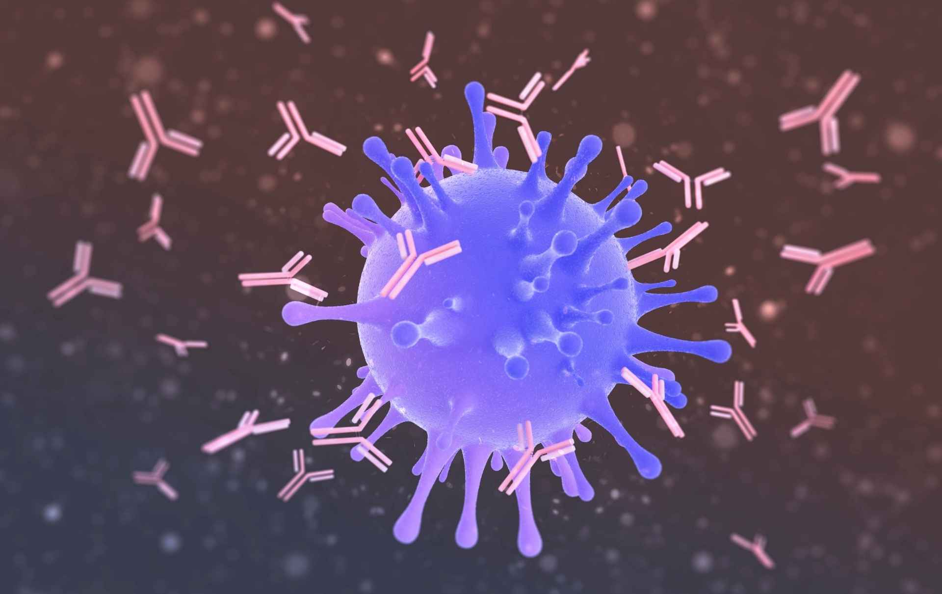 Jak CBD působí na naší imunitu?