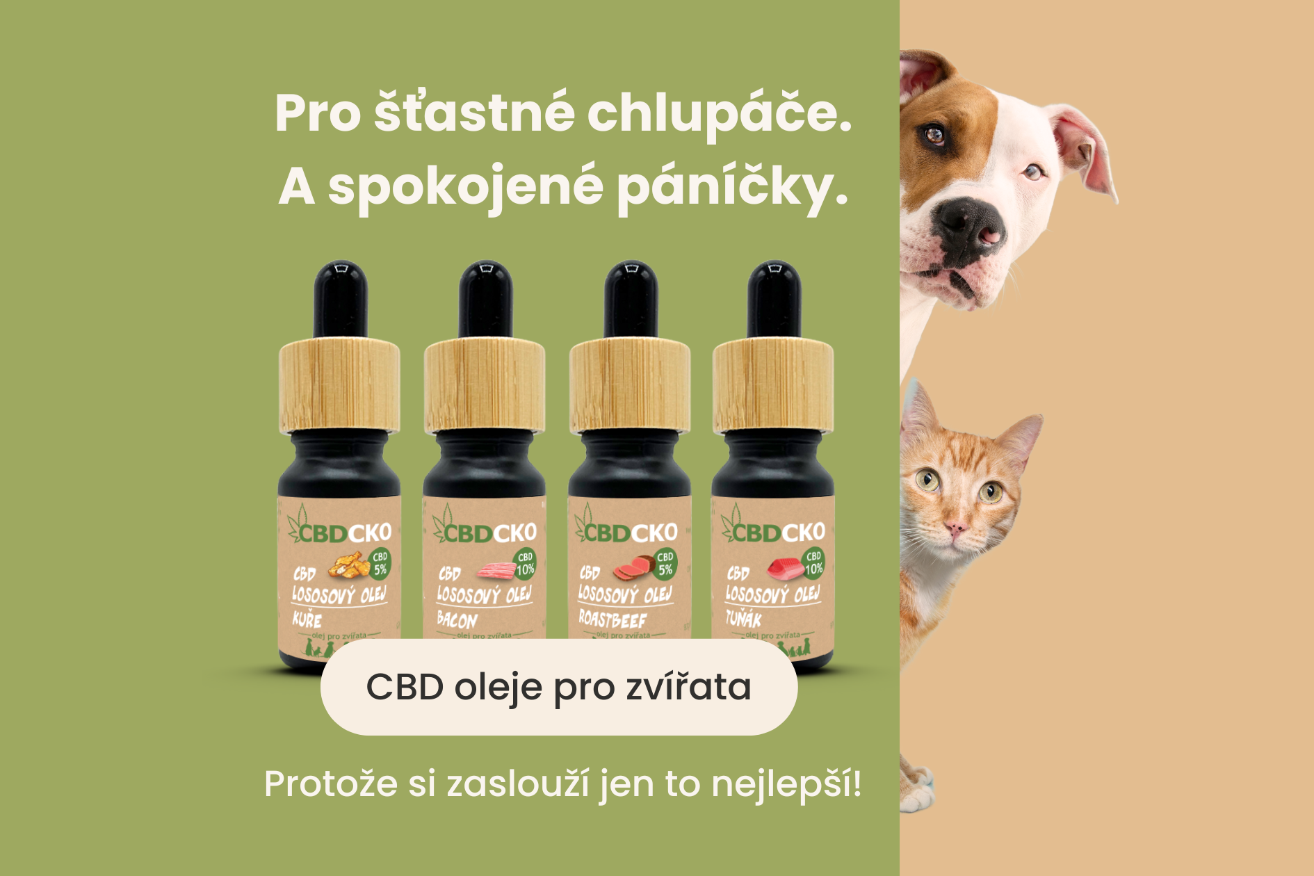Kategorie