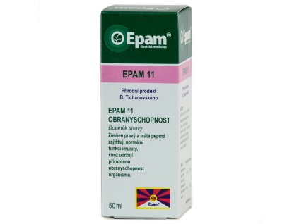 epam 11