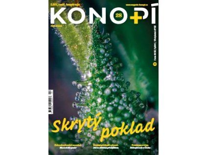 thumb (27)