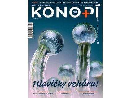 Magazín KONOPÍ - 4/2025, č.36