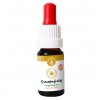 cbd konopny olej s rozmarynem regeneracni serum na.jpg.big