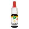 cbd regeneracni serum cz 10 procent lahvicka