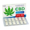 chewing gum euphoria cannabis peppermint 100mg cbd biet 0336 3 5 z