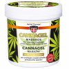 Palacio Cannabis Massage Gel CannaGel 250ml 768x768